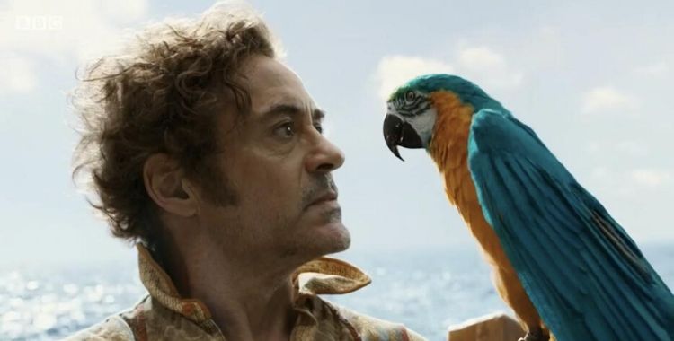 Dolittle Robert Downey Jr. e a arara