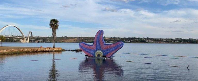 Starro em Brasília Destaque